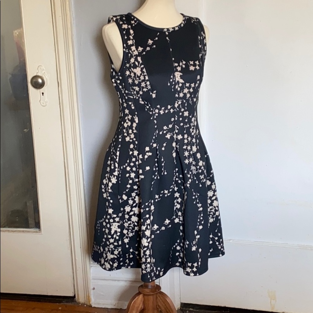 NWT 10P Ann Taylor Black and Cream floral dress.